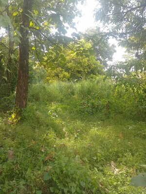  Plot – Garden View at Chembukkav - for Sale