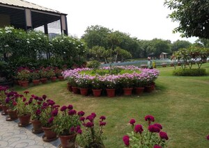2.5 BHK Builder Floor – Garden View at Central Park Cerise Suites, Sohna Sector 33 - for Sale