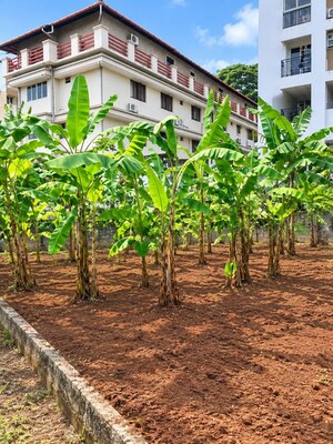  Plot For Sale in Kottappuram