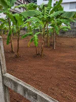Plot Area in  Plot at Kottappuram – for Sale