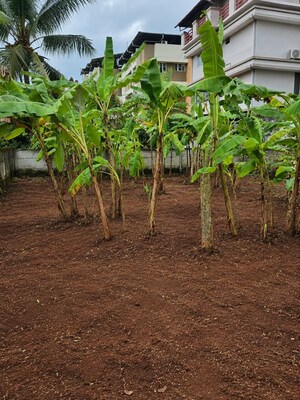 Plot Area in  Plot at Kottappuram – for Sale