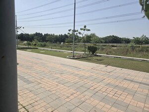 Plot Area in  Land at Emaar Business District 114, Sector 114 – for Sale