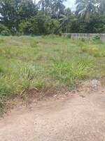 4357 Sq.Ft. Plot in Puranattukara
