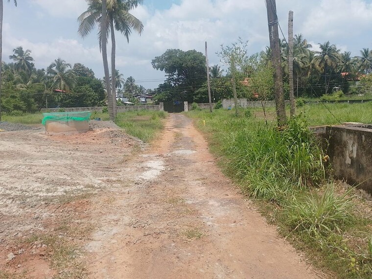 undefined, puranattukara  4357 Sq.Ft. Plot In Puranattukara Thrissur 10723608