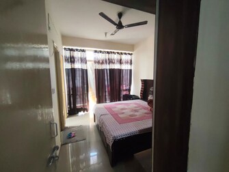 1 BHK Apartment For Rent in Lotus Homz in Sector 111, Gurgaon