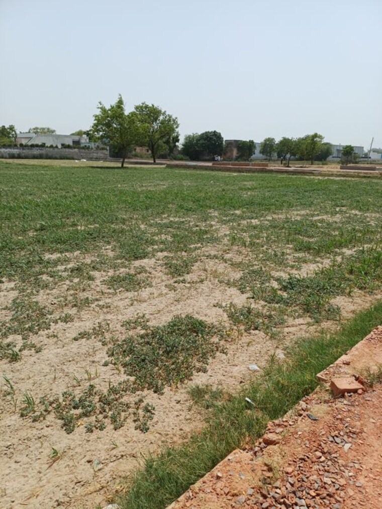 Garden, kanwara village  56 Sq.Yd. Plot In Kanwara Village Faridabad 10724068