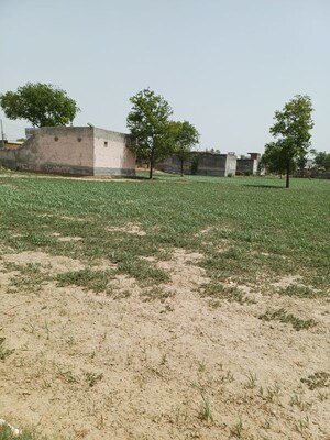  Plot – Exterior View View at Kanwara Village - for Sale