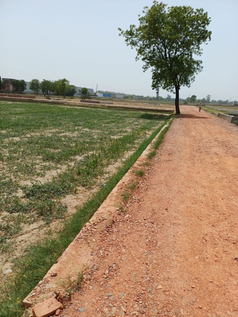 undefined, kanwara village  57 Sq.Yd. Plot In Kanwara Village Faridabad 10724081