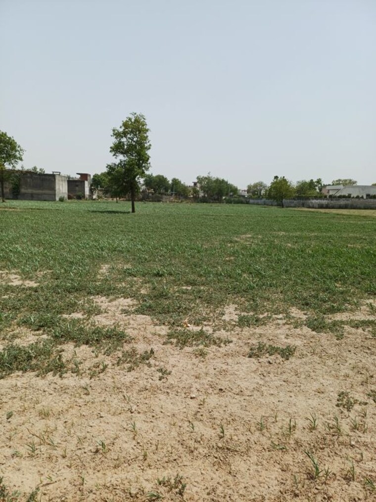 Garden, kanwara village  57 Sq.Yd. Plot In Kanwara Village Faridabad 10724081