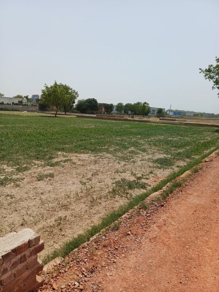 Garden, kanwara village  57 Sq.Yd. Plot In Kanwara Village Faridabad 10724081