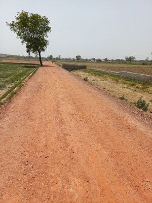  Plot For Sale in Kanwara Village