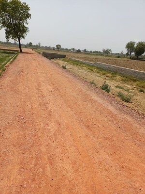  Plot For Sale in Kanwara Village