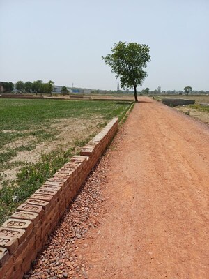  Plot – Exterior View View at Kanwara Village - for Sale