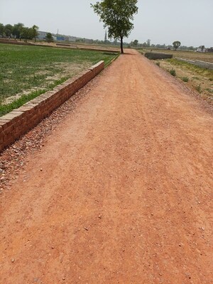 Plot Area in  Plot at Kanwara Village – for Sale