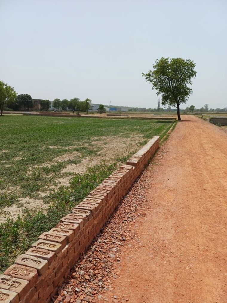 Swimming Pool, kanwara village  61 Sq.Yd. Plot In Kanwara Village Faridabad 10724132