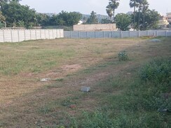 Plot For Sale in Unique Eastern Aavaasa