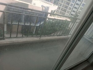 Balcony in 3 BHK Builder Floor at Sector 21 – for Rent