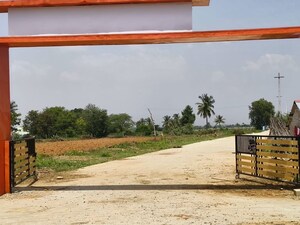  Plot For Sale in Bagepalli