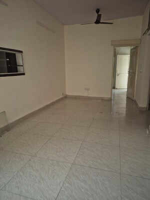 2.5 BHK Apartment For Rent in Mayur Vihar