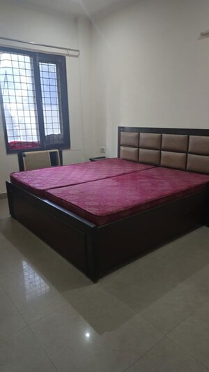3 BHK Builder Floor For Rent in Sushant Lok I