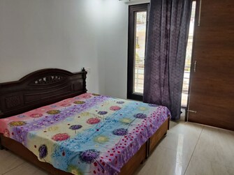 3 BHK Builder Floor For Rent in Motia Blue Ridge in Dhakoli, Zirakpur