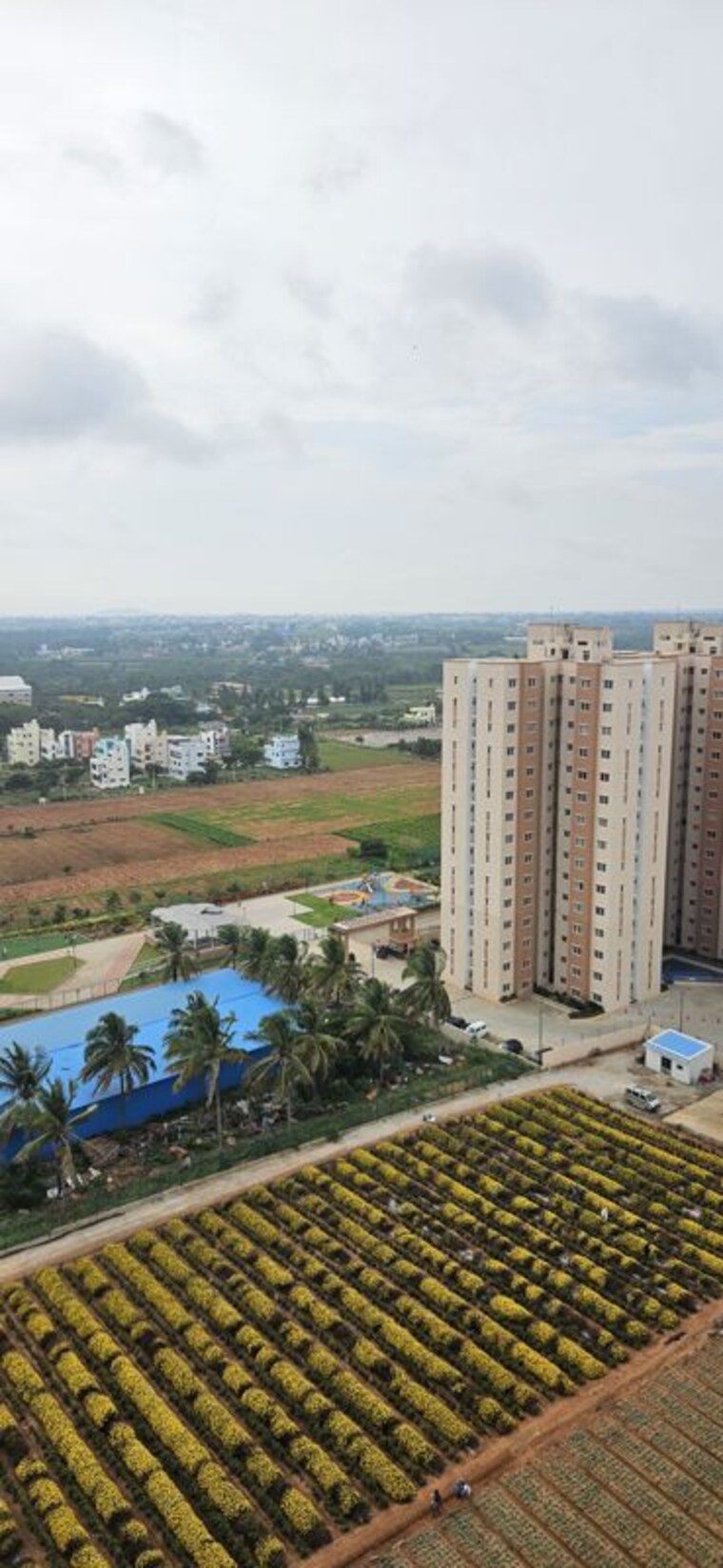 Exterior View, shriram-107-south-east 3 Bedroom 914 Sq.Ft. Apartment In Attibele Bangalore 10724651