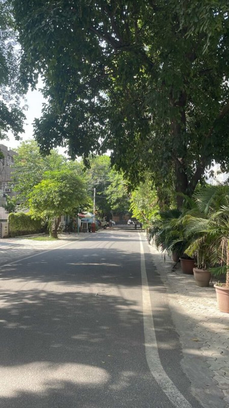 Garden, gulmohar park 3 Bedroom 4500 Sq.Ft. Independent House In Gulmohar Park Delhi 10724662