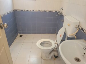 Bathroom in 3 BHK Apartment at Rohan Garima Phase II, Model Colony – for Rent