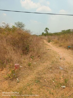  Land For Sale in Kazipet