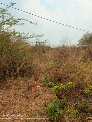 Plot Area in  Land at Kazipet – for Sale