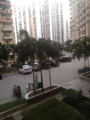 3 BHK Apartment For Rent in Supertech Eco Village II, Sector 16b Greater Noida