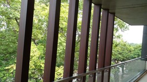 Balcony in 4 BHK Builder Floor at Panchsheel Enclave – for Rent