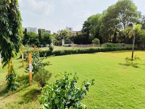 2 BHK Apartment – Garden View at Maa Karnikripa Homes, Gandhi Path - for Rent