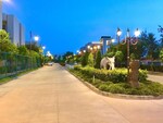 250 Sq.Yd. Plot in Parklands