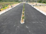 2400 Sq.Ft. Plot in Chikkaballapur