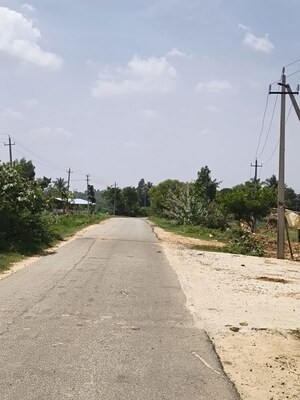  Plot For Sale in Bagepalli