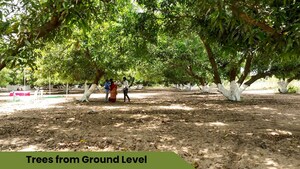 Plot Area in  Plot at Arambakkam – for Sale