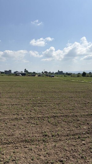  Plot For Sale in Shahpur