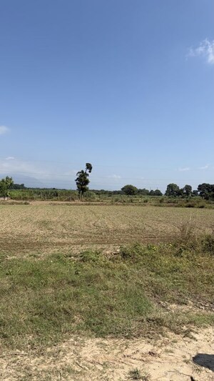 Plot Area in  Plot at Shahpur – for Sale
