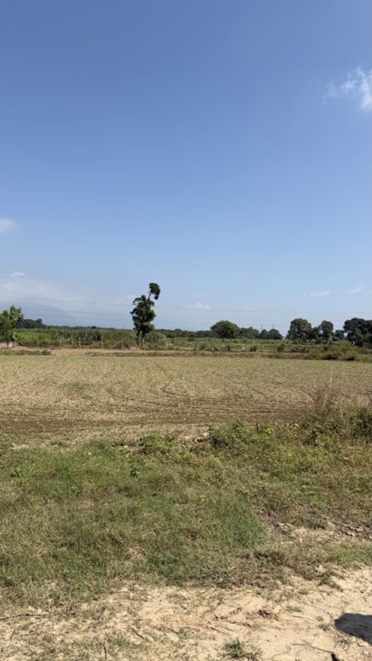 undefined, shahpur  150 Sq.Yd. Plot In Shahpur Dehradun 10725790