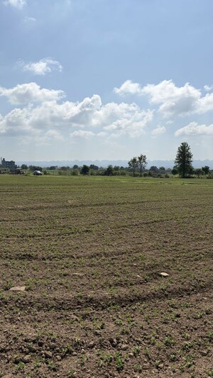 Plot Area in  Plot at Shahpur – for Sale