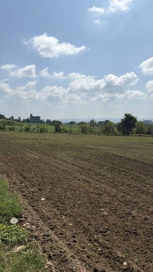  Plot For Sale in Sahaspur