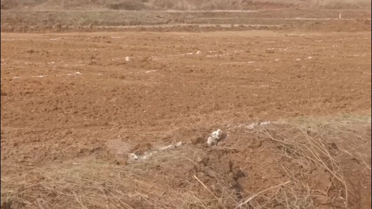 undefined, ormanjhi  435 Sq.Ft. Plot In Ormanjhi Ranchi 10725839