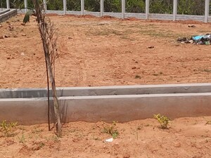 Plot Area in  Plot at Thummapala – for Sale