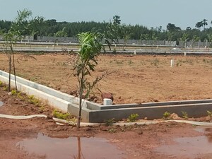 Plot For Sale in Thummapala