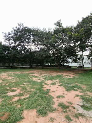 Plot Area in  Plot at Doddakammanahalli – for Sale