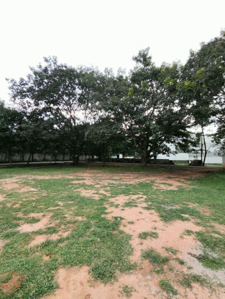 undefined, doddakammanahalli  1200 Sq.Ft. Plot In Doddakammanahalli Bangalore 10725904