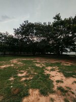 1200 Sq.Ft. Plot in Doddakammanahalli