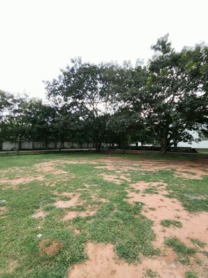 Plot Area in  Plot at Doddakammanahalli – for Sale
