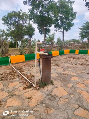  Plot For Sale in Bagepalli